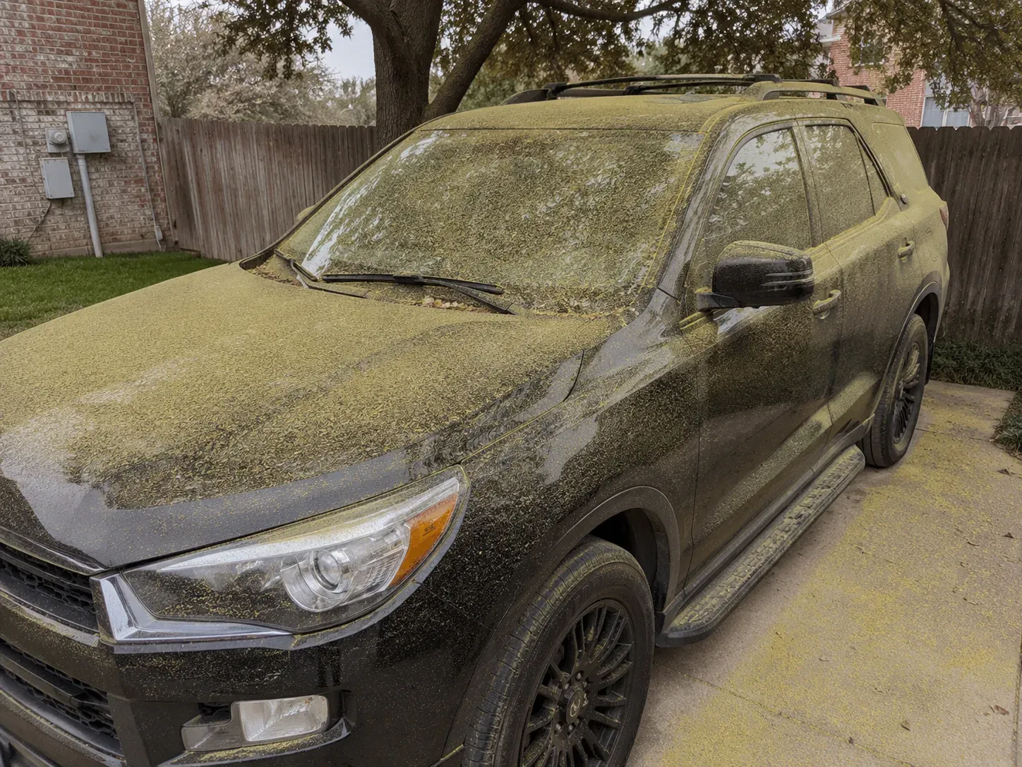 Pollen coated SUV before seasonal clay bar treatment in Fort Worth